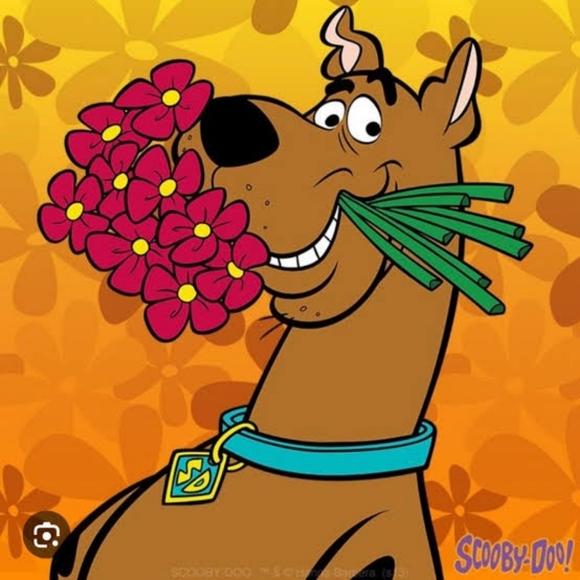 scoobydubygurl
